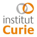 prevlink - Prévention Santé au travail | Institut Curie 